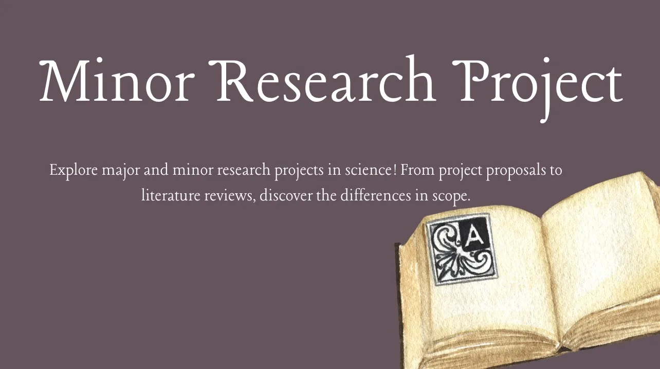 Minor Research Project