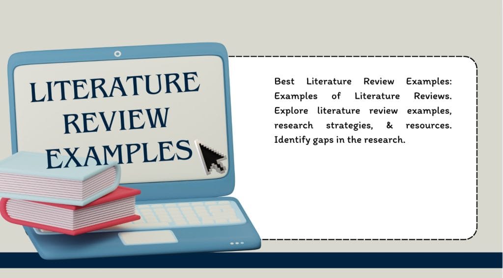 Literature Review Examples