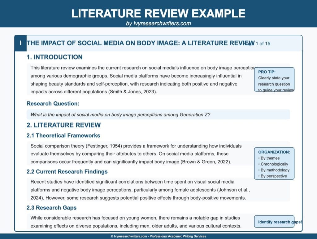 Literature Review Example