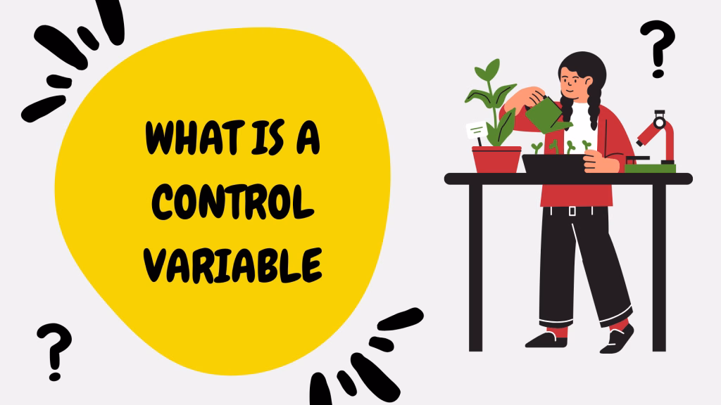 What is a control variable